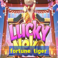 fortune tiger source code